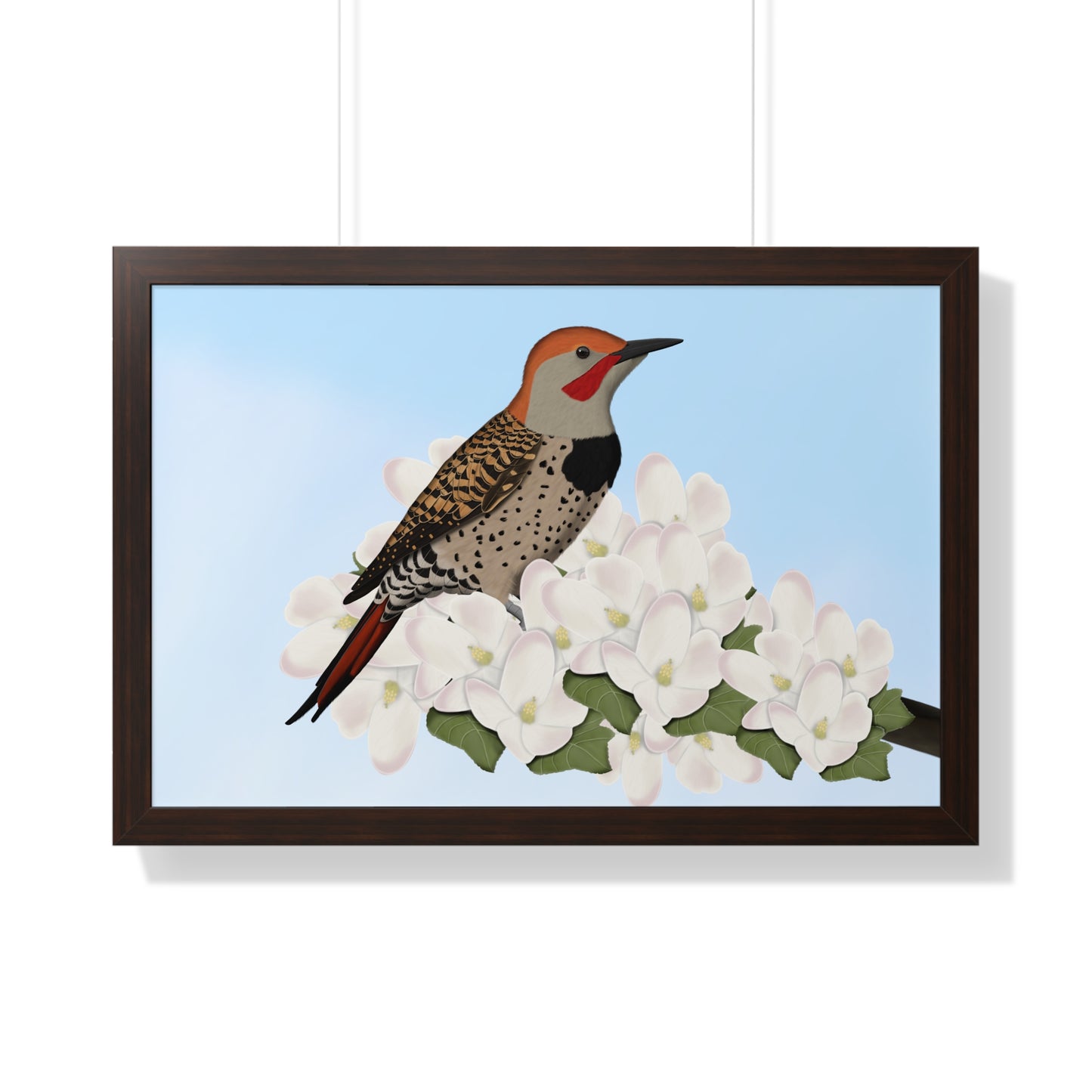 Northern Flicker Spring Blossoms Bird Framed Poster –