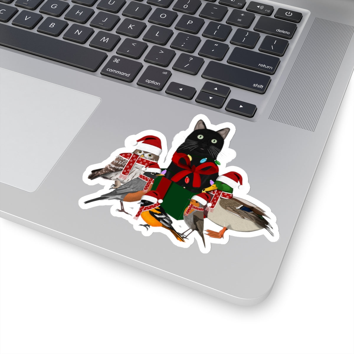 Robin Oriole Mallard Owl and Cat with Fairy Lights Santa Claus Hat and Scarf Christmas Bird Sticker