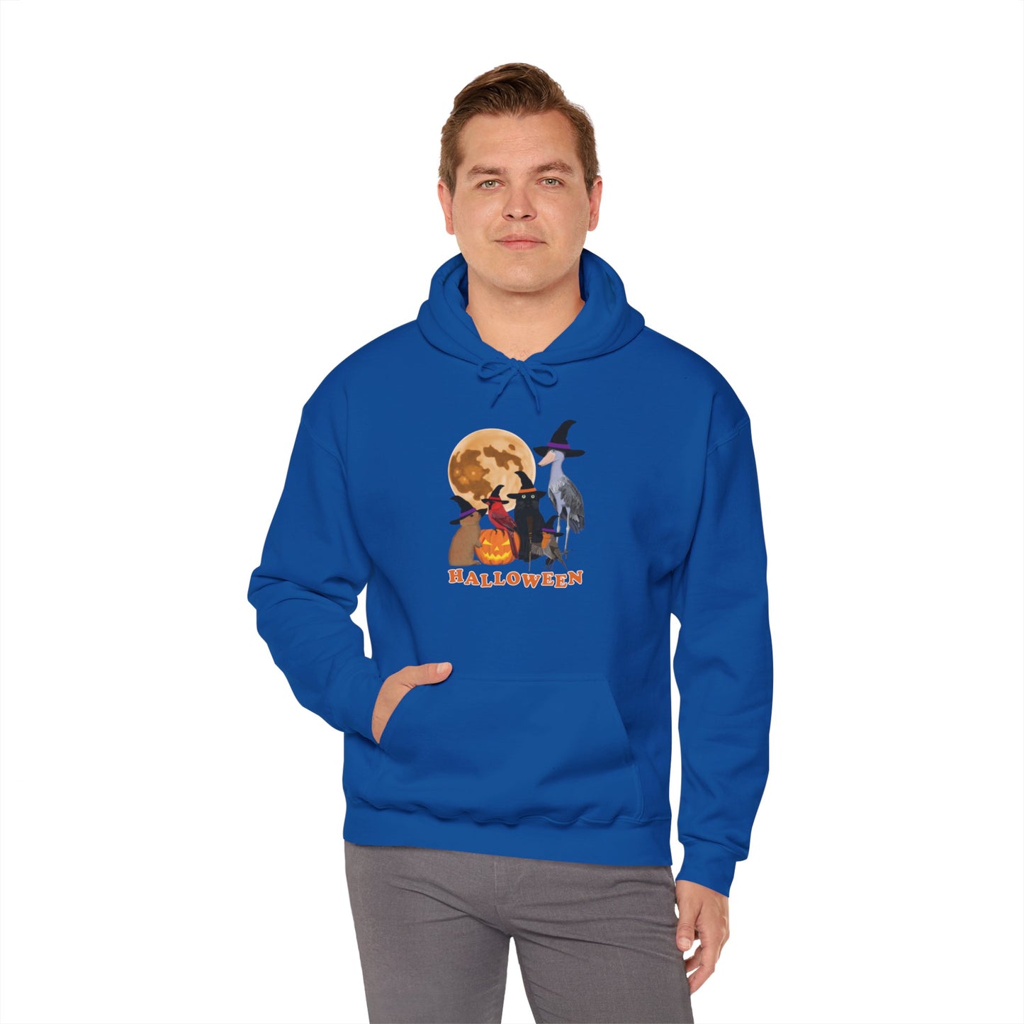 Cardinal Robin Shoebill with Cat and Bunny Halloween Bird Hoodie