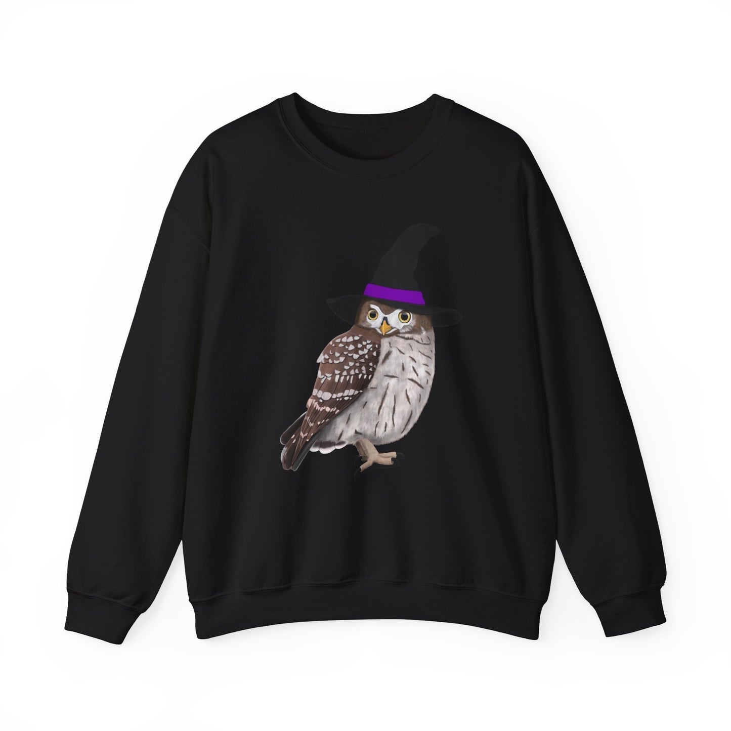 Owl Halloween Witch Birdwatcher Biologist Bird Sweatshirt – Animal Lover Gift,
