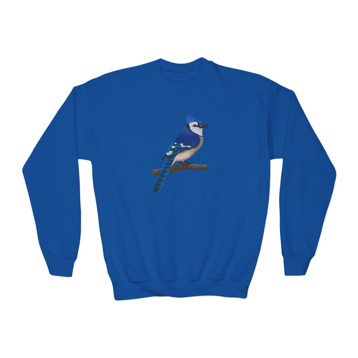 Blue Jay Youth Sweatshirts – Casual Kids Clothing, Cool Weather Outfit