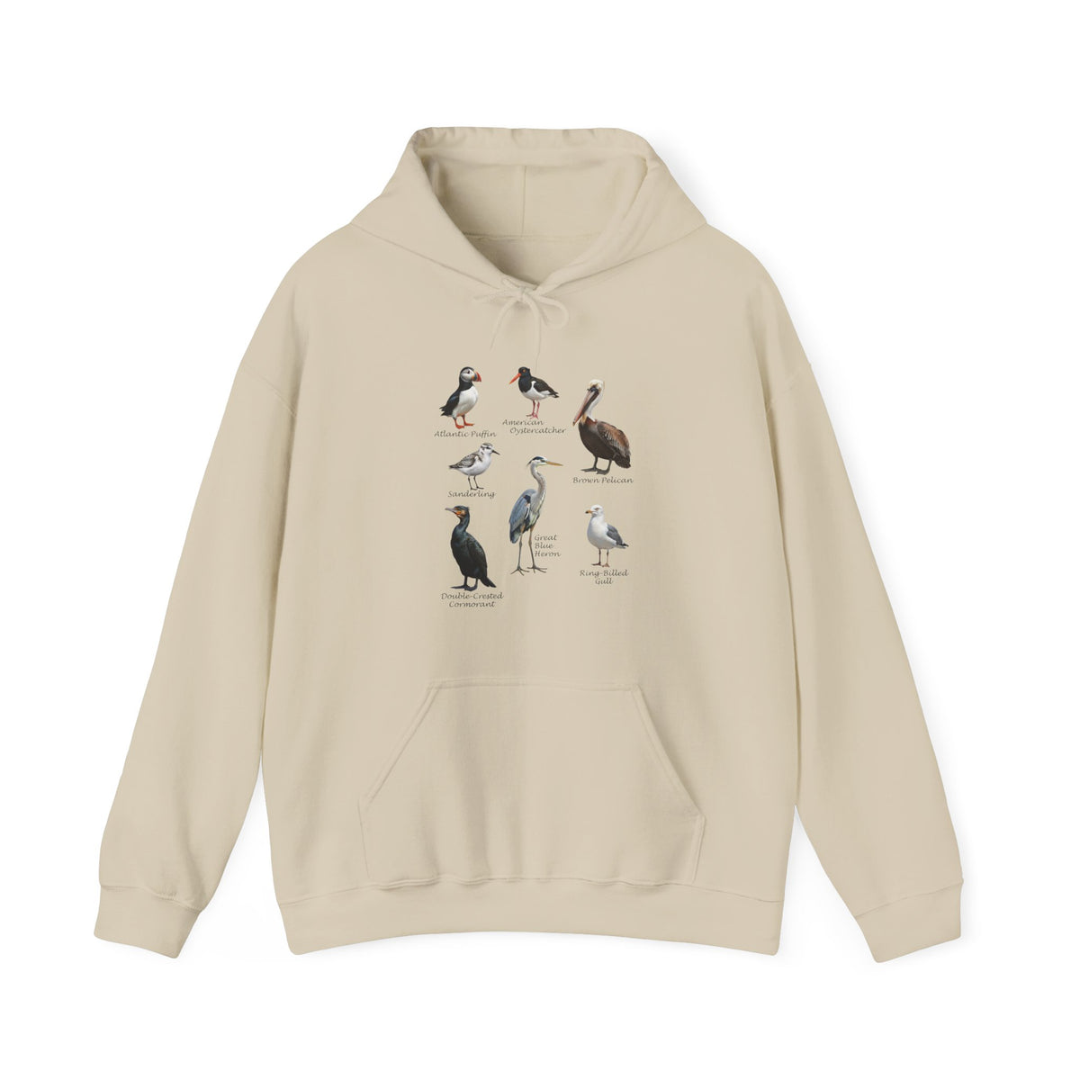 Pelican, Heron and Gull Hoodie – bird lover style