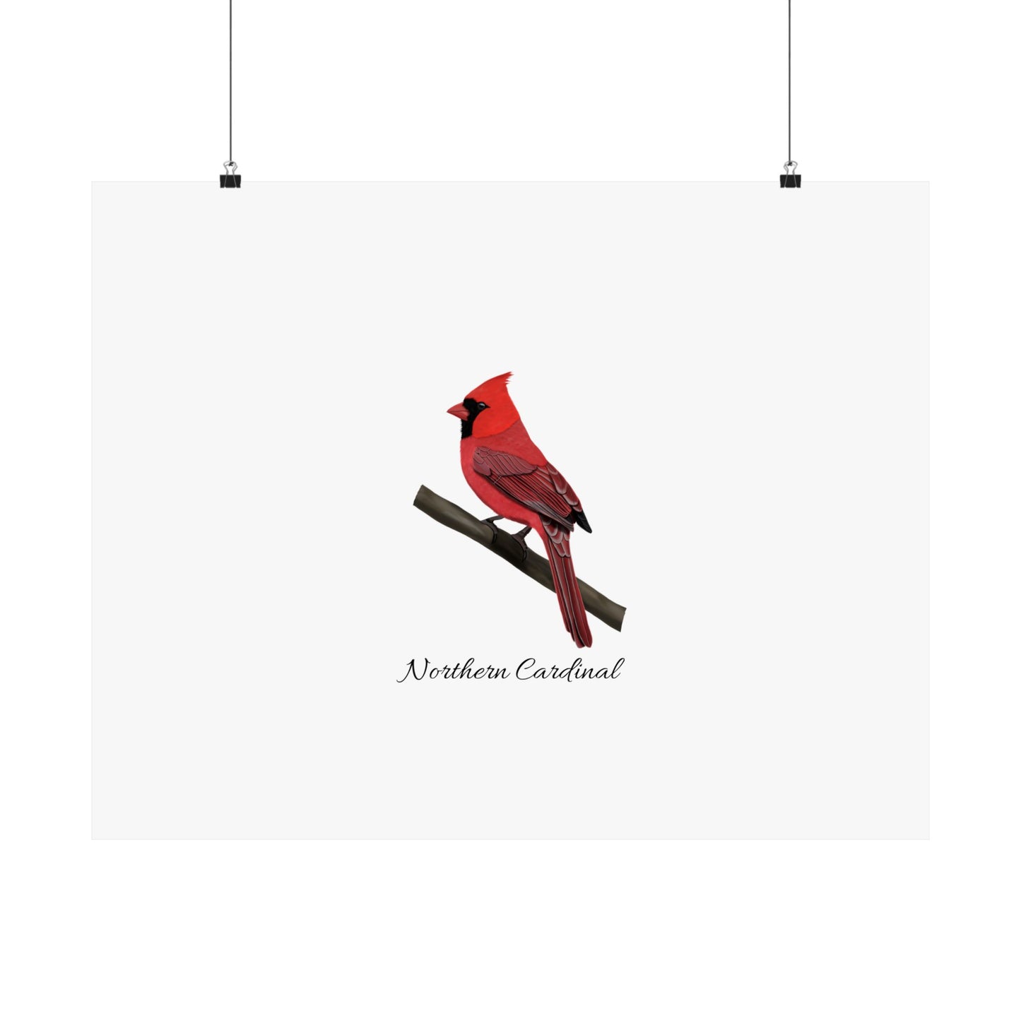 Cardinal Bird Birding Matte Poster