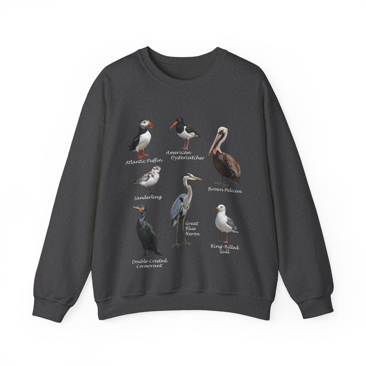 Pelican, Puffin and Heron Sweatshirt in Black
