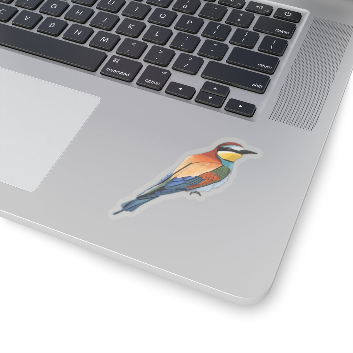 Bee-Eater Bird Kiss-Cut Sticker - jz.birds