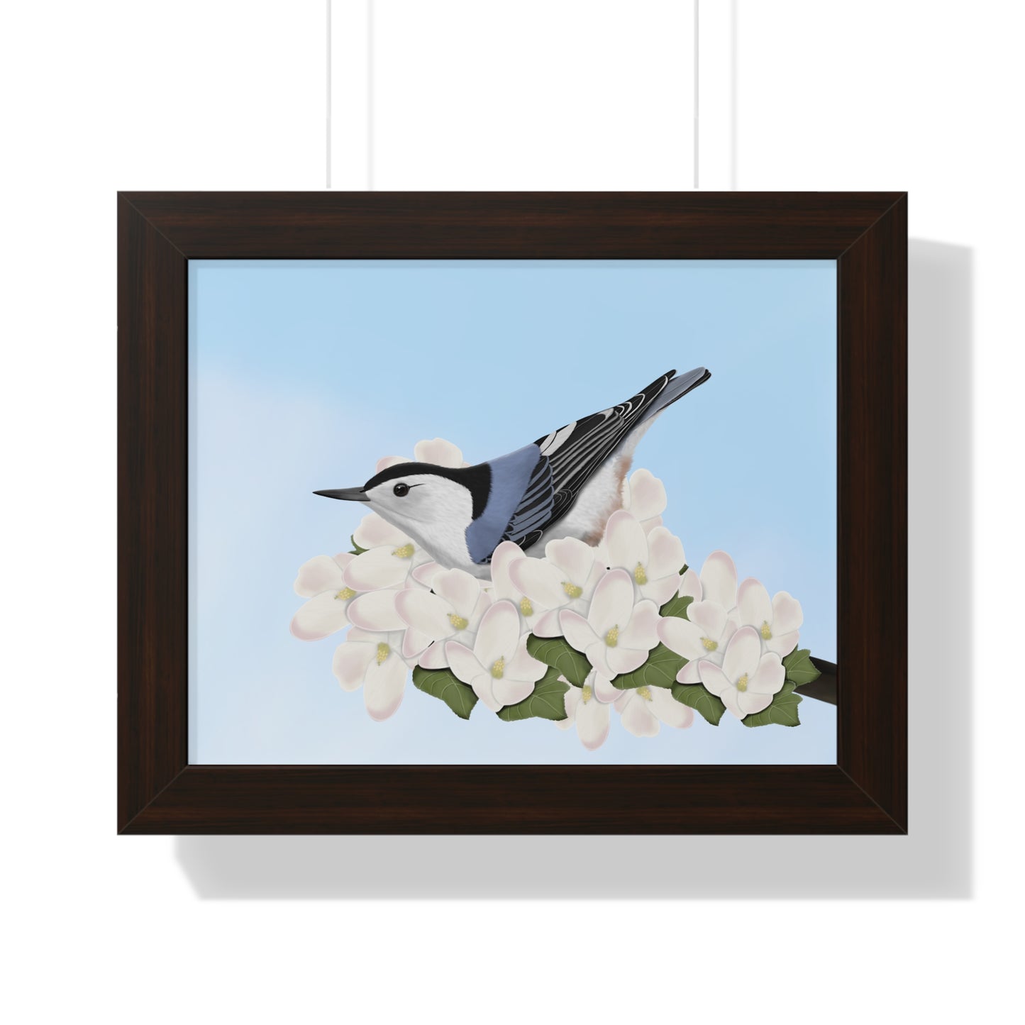 Nuthatch Framed Poster on background