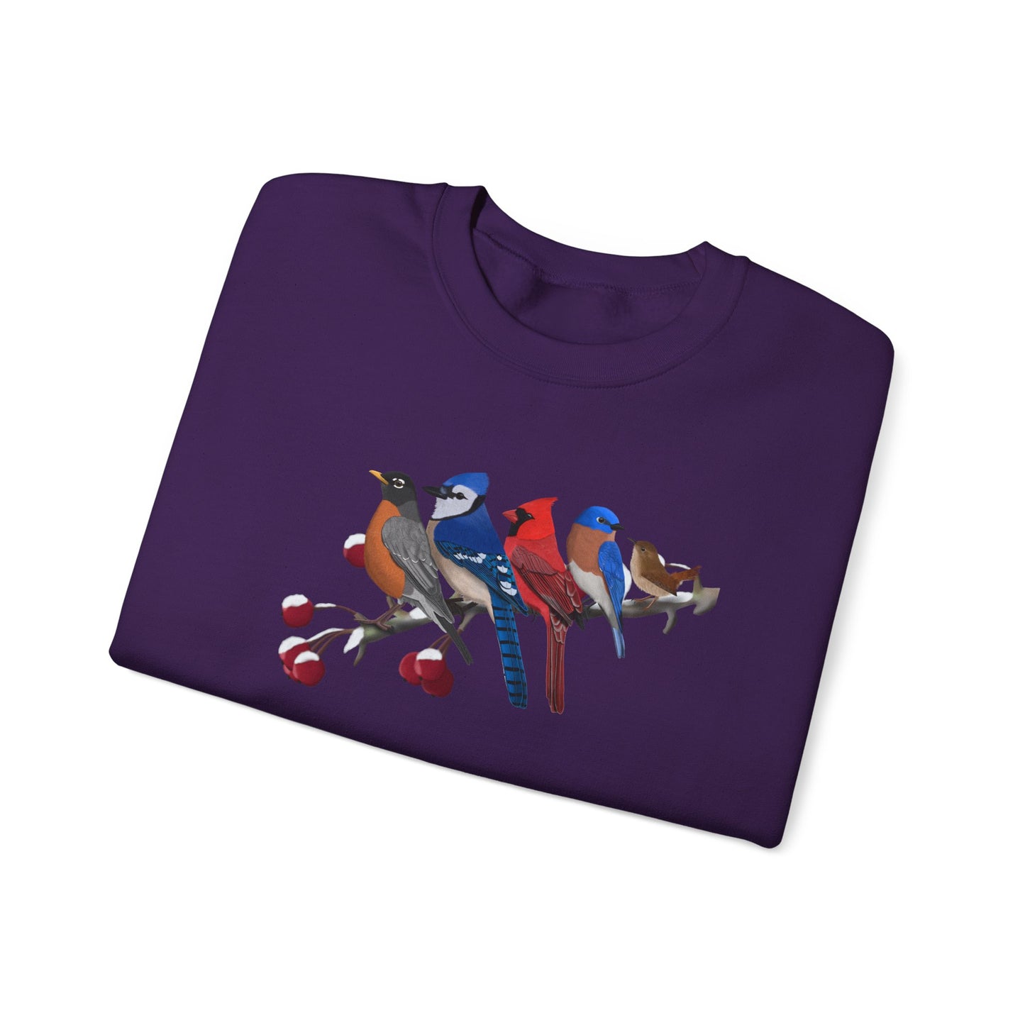 Backyard Birds Robin Blue Jay Cardinal Bluebird Wren Birdwatcher Christmas Bird Sweatshirt