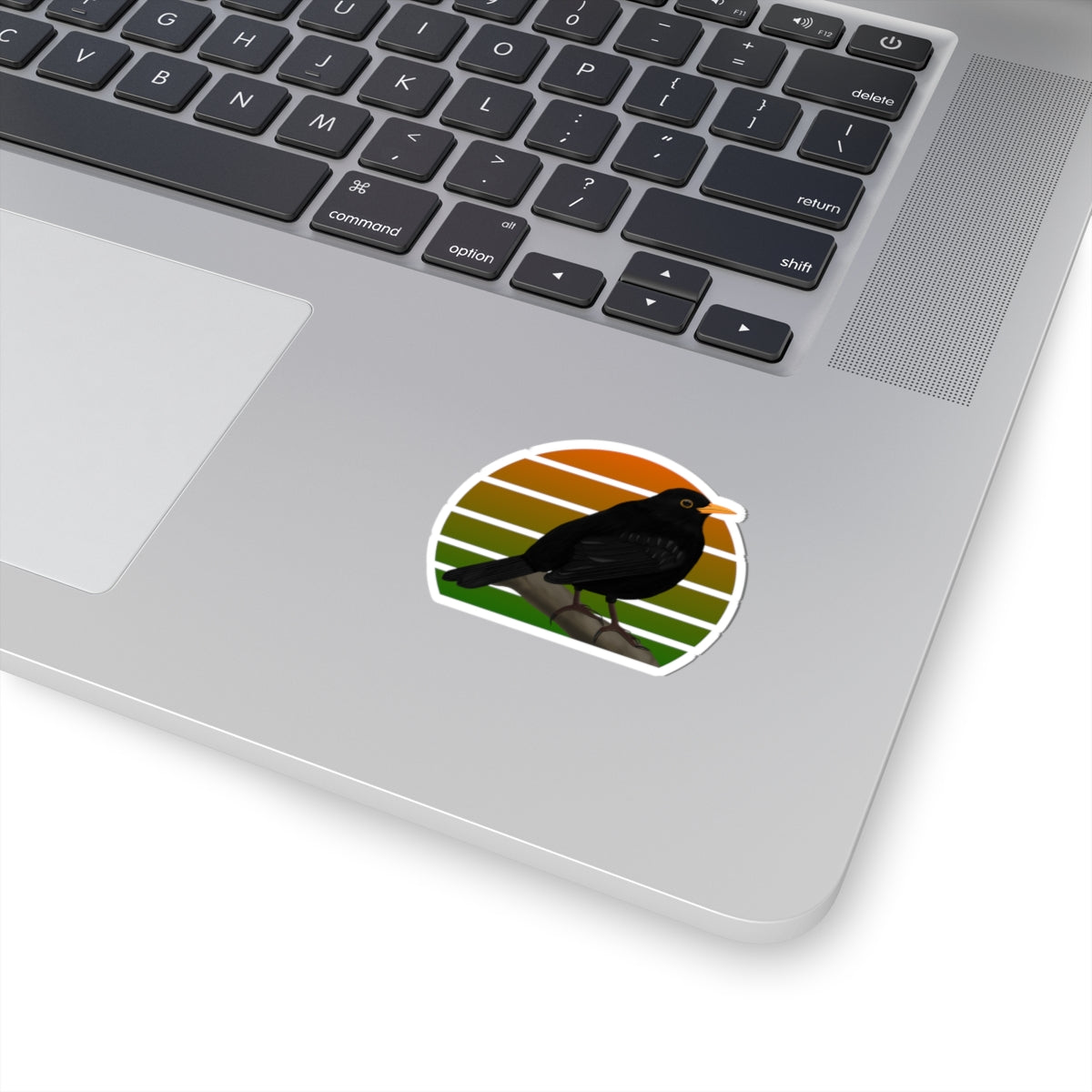 Blackbird Bird Sticker