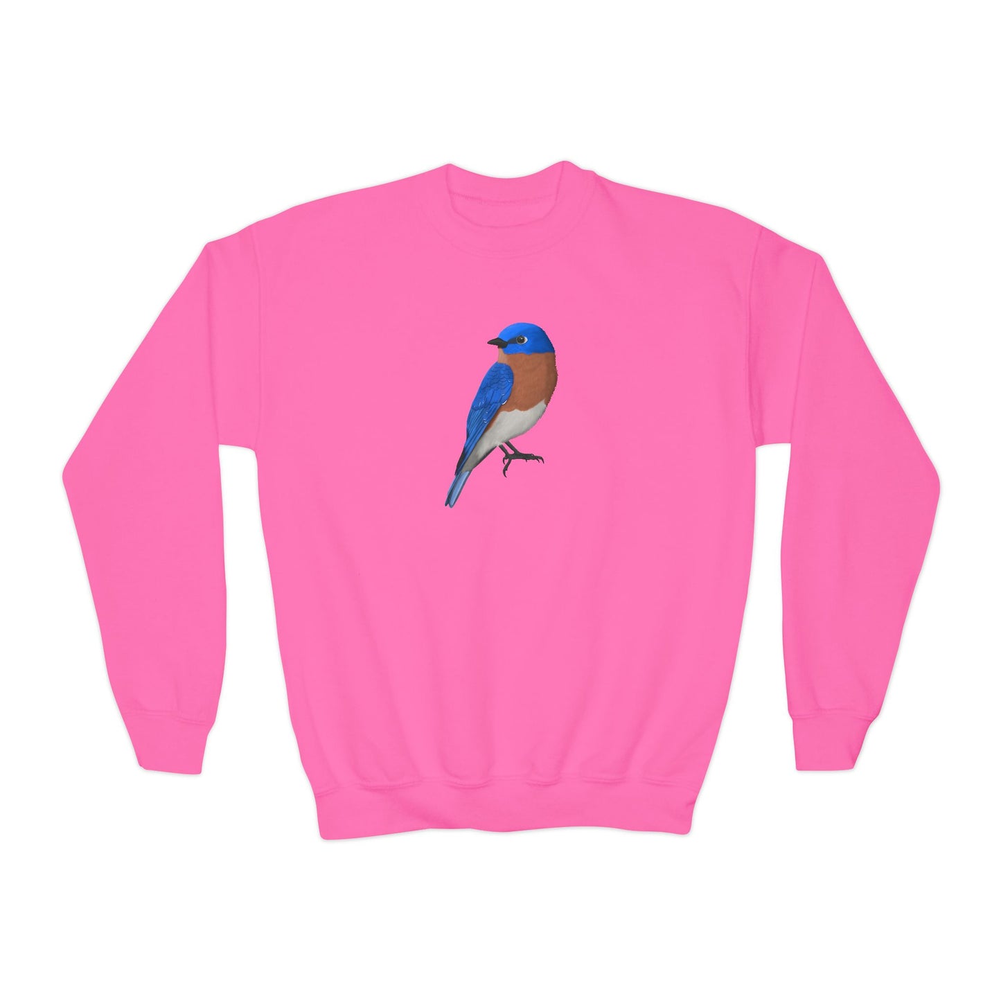 Bluebird Youth Sweatshirts – Casual Kids Clothing and Cool Weather Outfit style