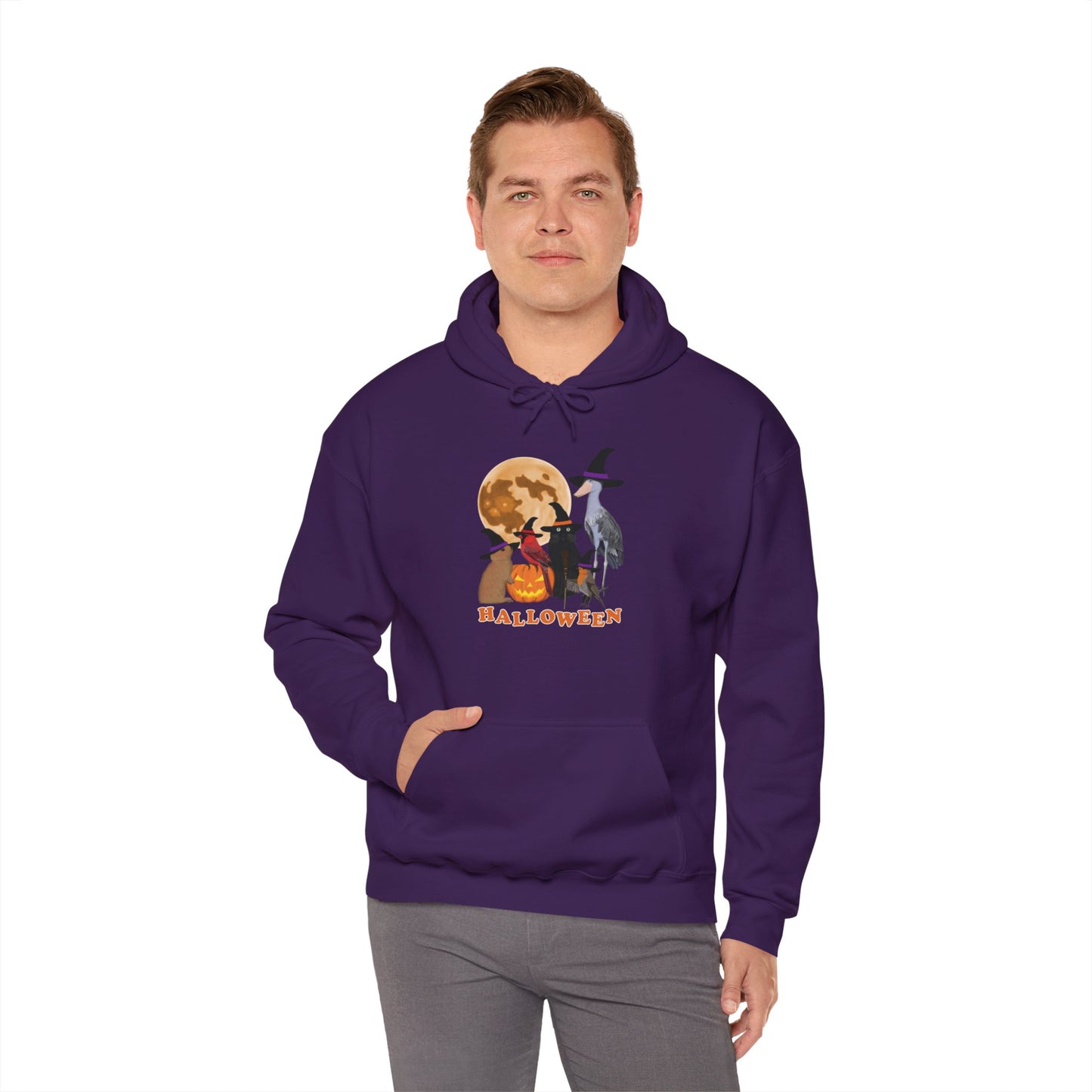 Cardinal Robin Shoebill with Cat and Bunny Halloween Bird Hoodie