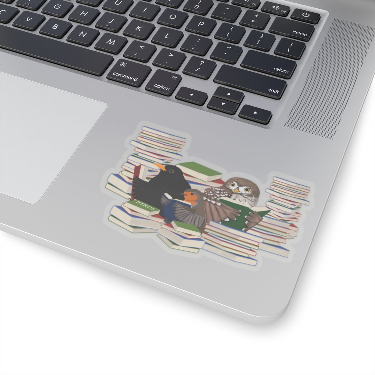 Robin Blackbird Owl Birds and Books Birdlover Bookworm Sticker