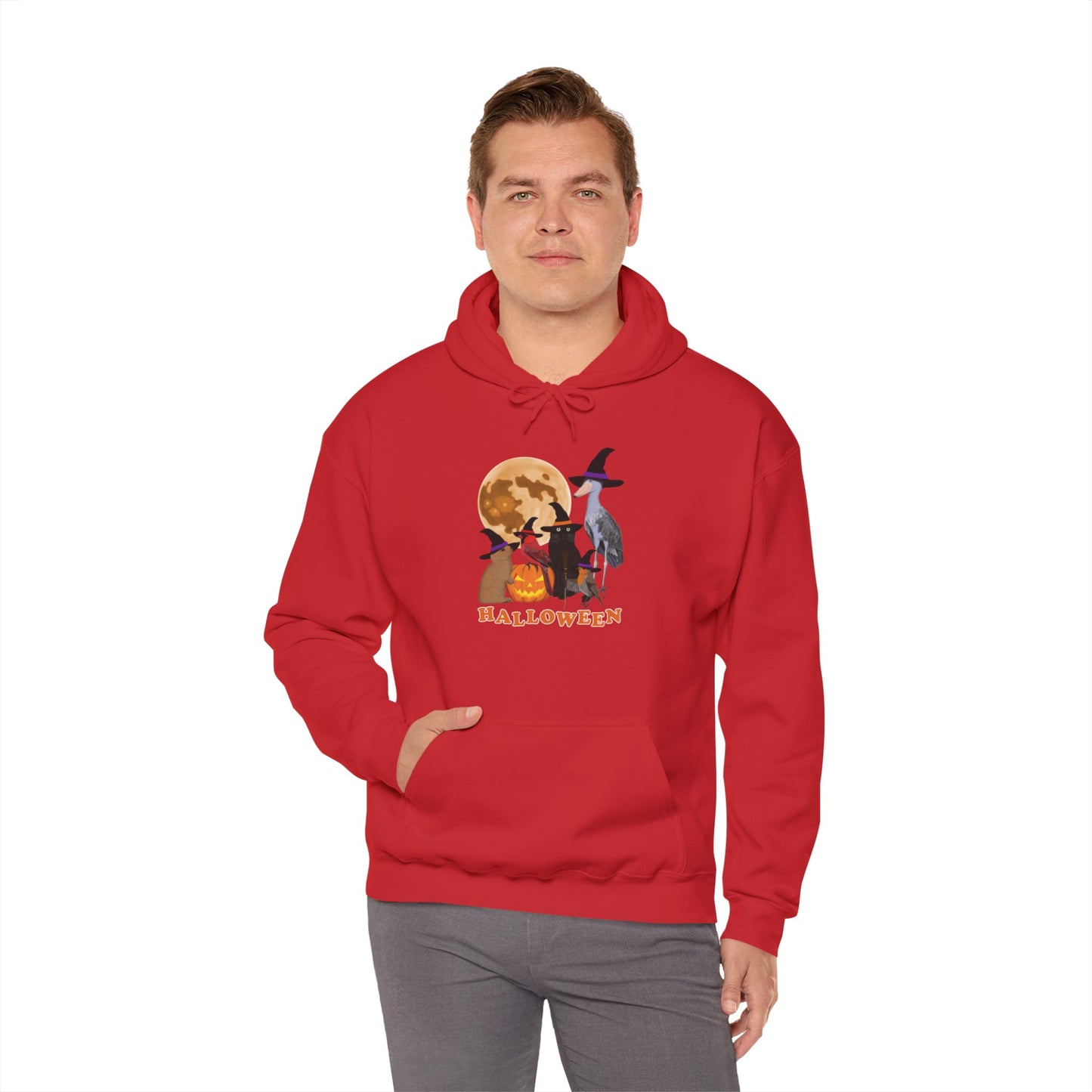 Cardinal Robin Shoebill with Cat and Bunny Halloween Bird Hoodie