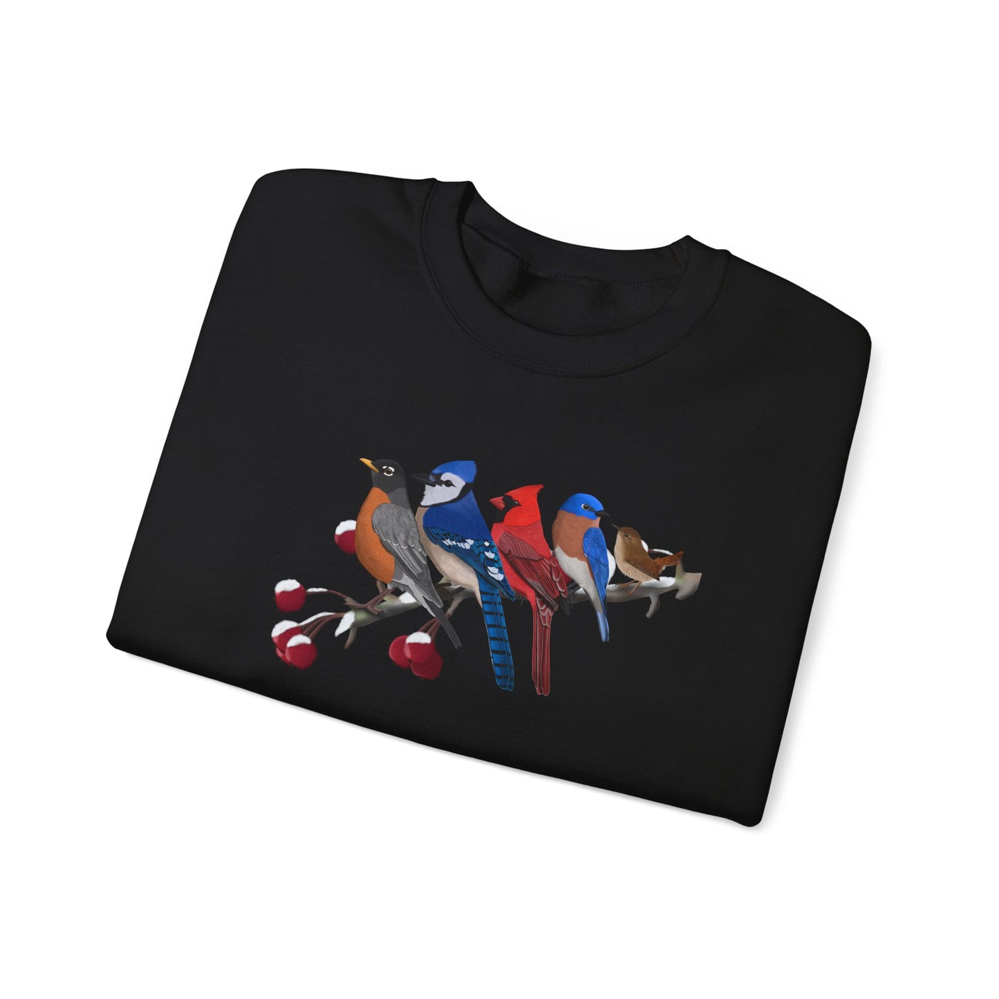 Backyard Birds Robin Blue Jay Cardinal Bluebird Wren Birdwatcher Christmas Bird Sweatshirt