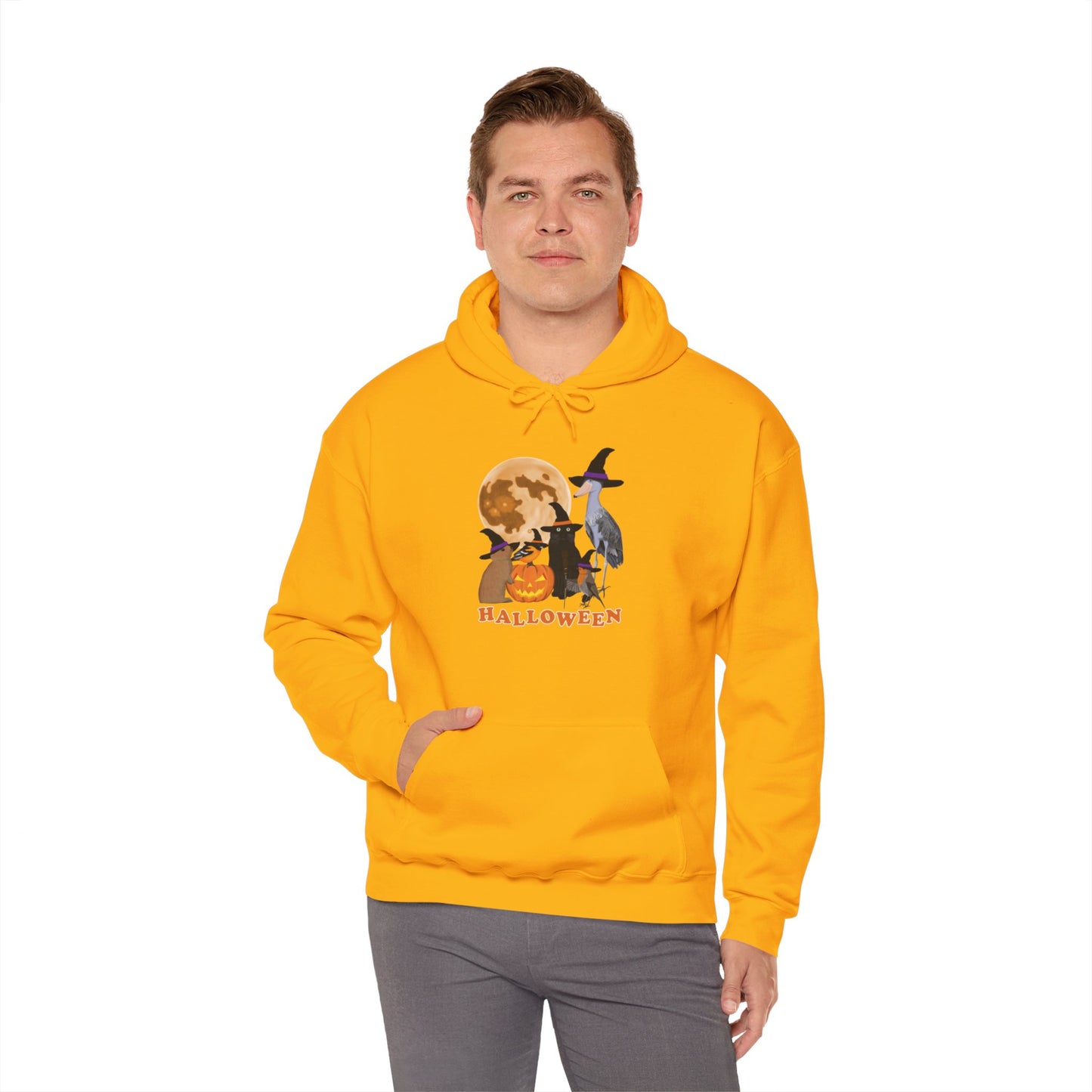 Baltimore Oriole Robin Shoebill with Cat and Bunny Halloween Bird Hoodie