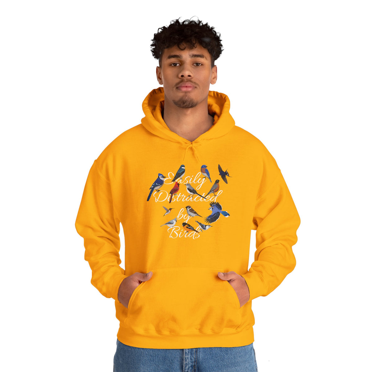 Easily Distracted by Birds Blue Jay Cardinal Hummingbird Hoodie