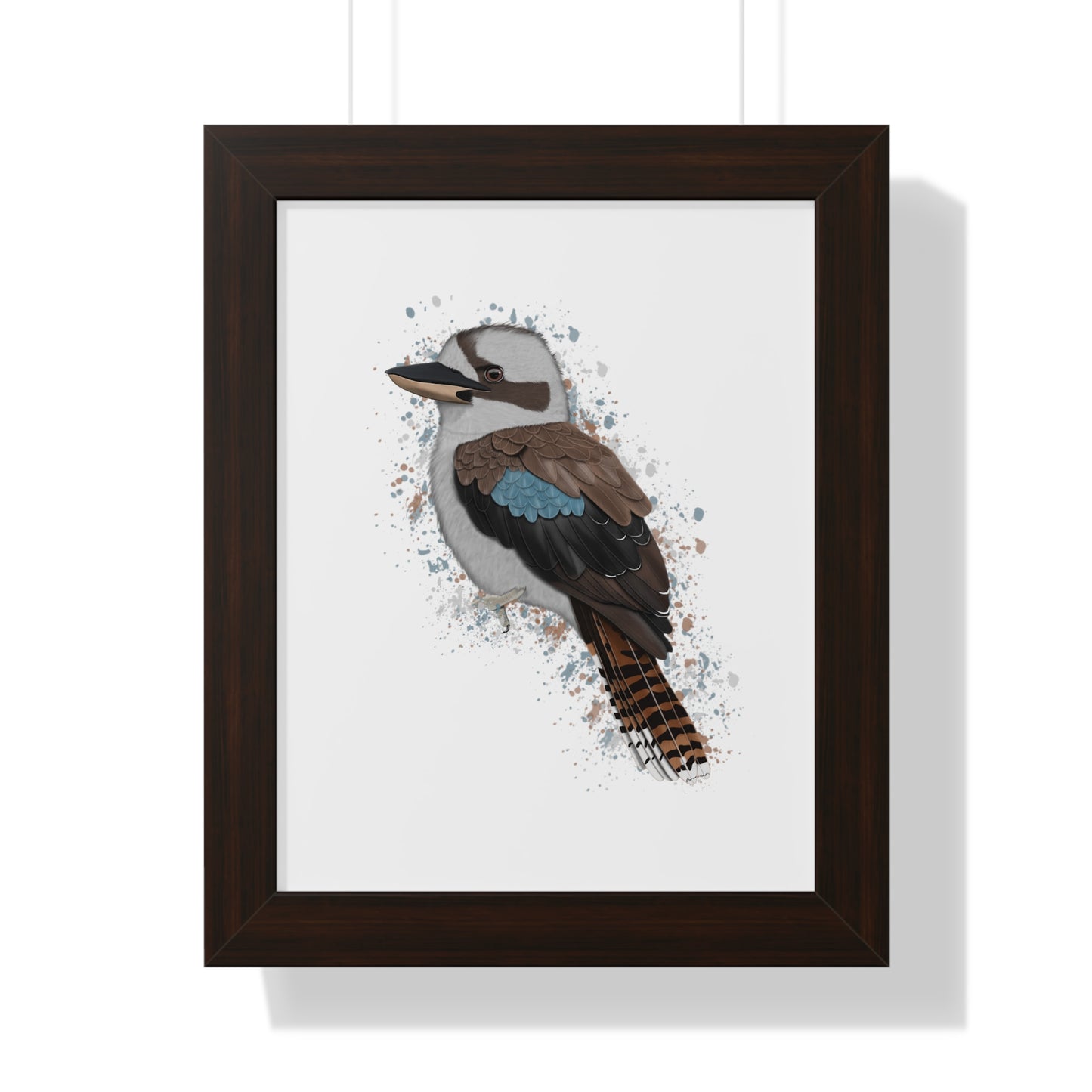 Kookaburra Bird Framed Poster on background