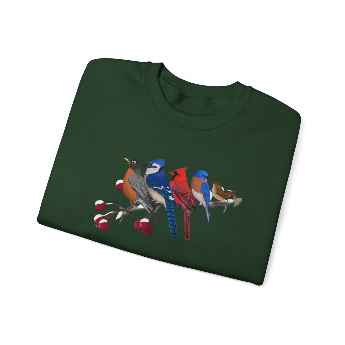 Backyard Birds Robin Blue Jay Cardinal Bluebird Wren Birdwatcher Christmas Bird Sweatshirt