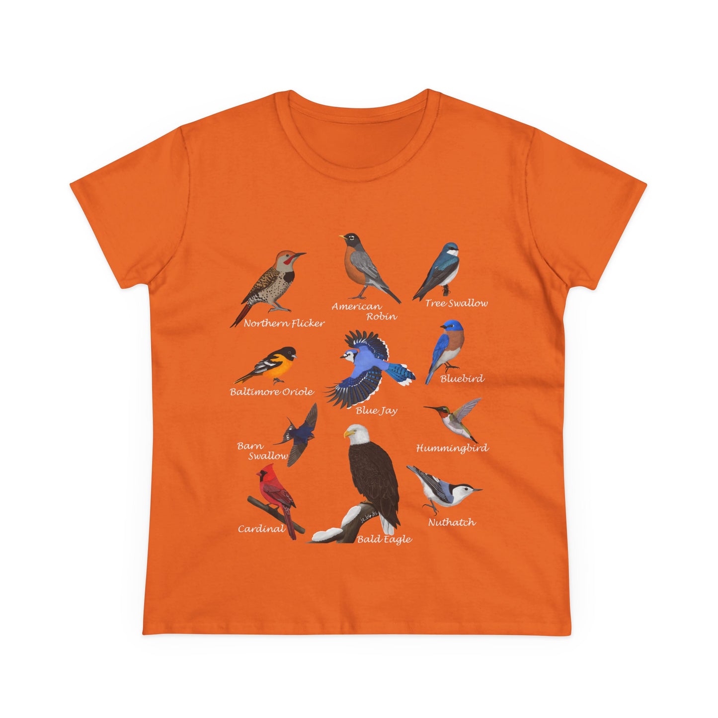 Birds of America Blue Jay Cardinal Bald Eagle Oriole Bird Design for Birdwatchers and Bird Lovers Women's T-Shirt