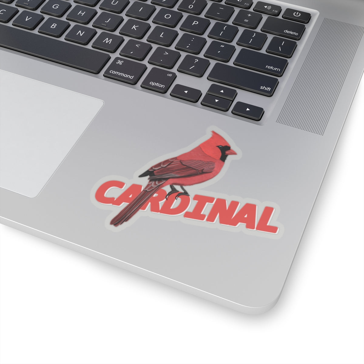 Cardinal Sticker Bird Lover & Bird Watcher
