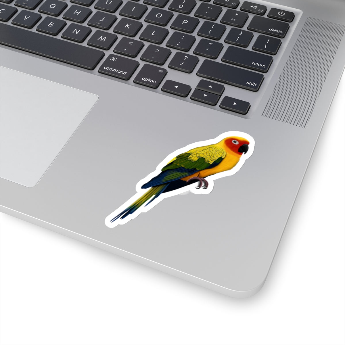 Sun Conure Bird Kiss-Cut Sticker - jz.birds