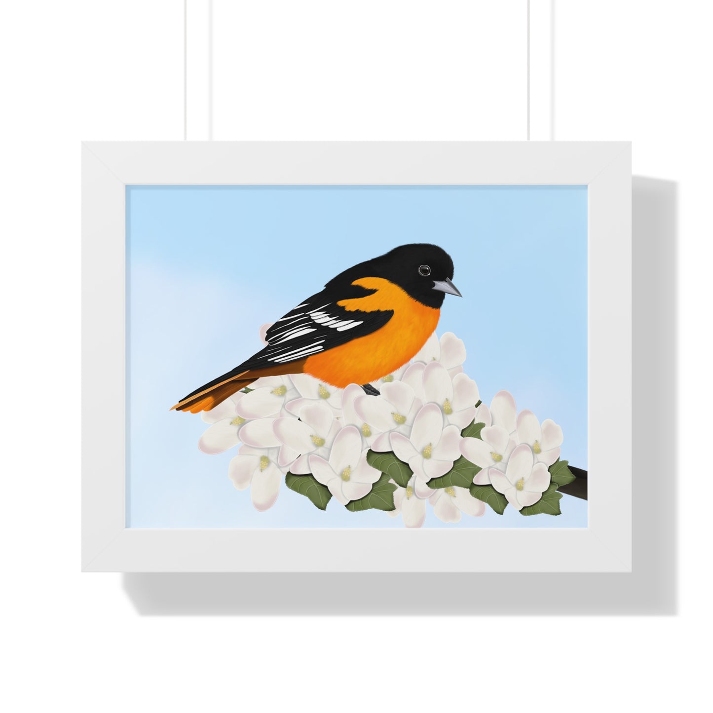 Baltimore Oriole Spring Blossoms Bird Framed Poster