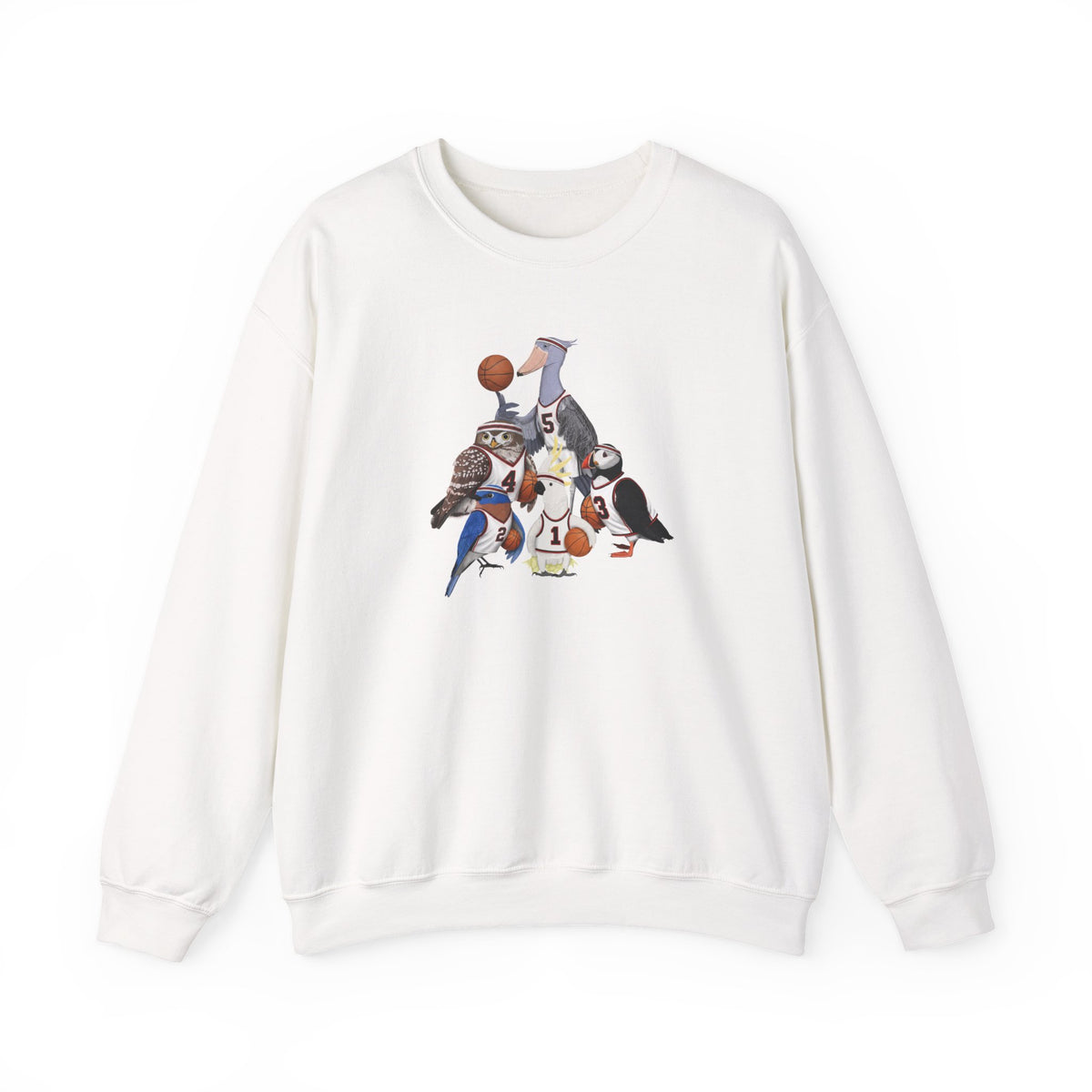 Funny Basketball Bird Sweatshirt | Watcher Crewneck Unisex Unique Hoops Fan Gift – Animal Lover