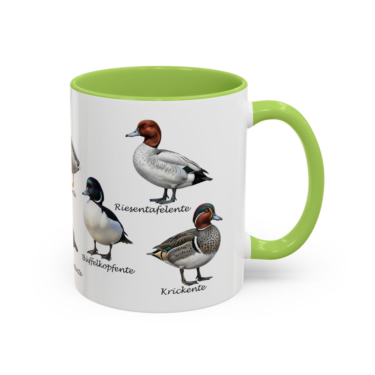 Tasse avec espèces de canards : canard souchet, canard mandarin & Cie | Anse colorée | Ornithologie