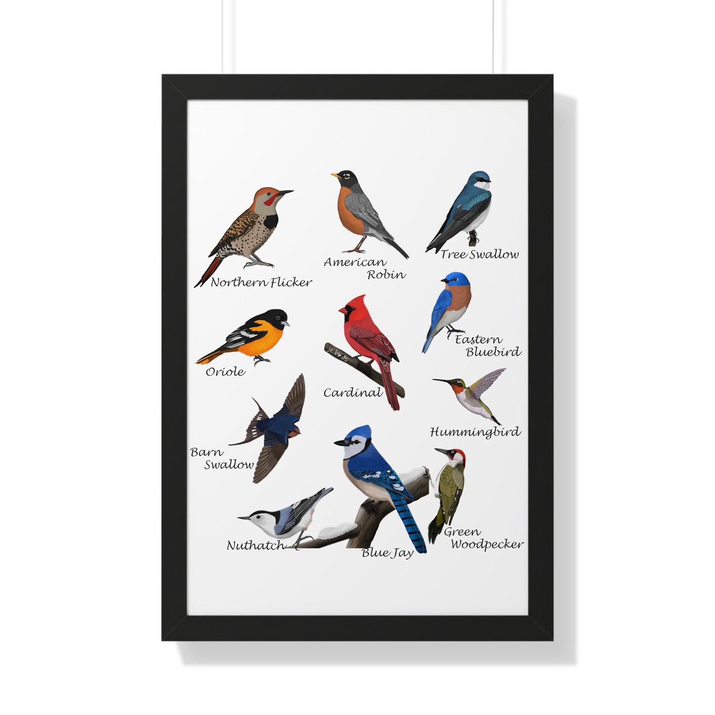 Backyard Birds Blue Jay Robin Cardinal Nuthatch Oriole Framed Poster –