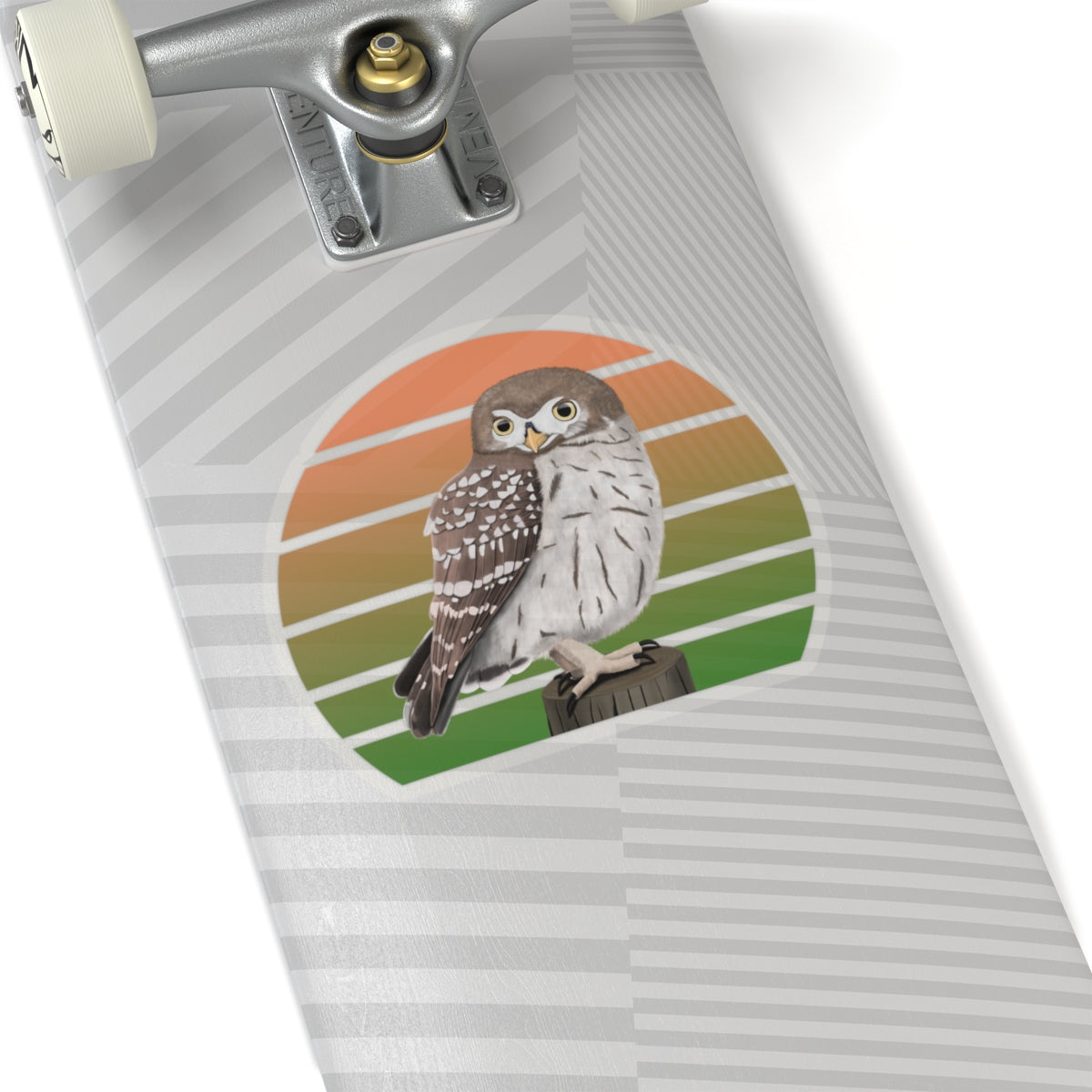 Little Owl Bird Sticker