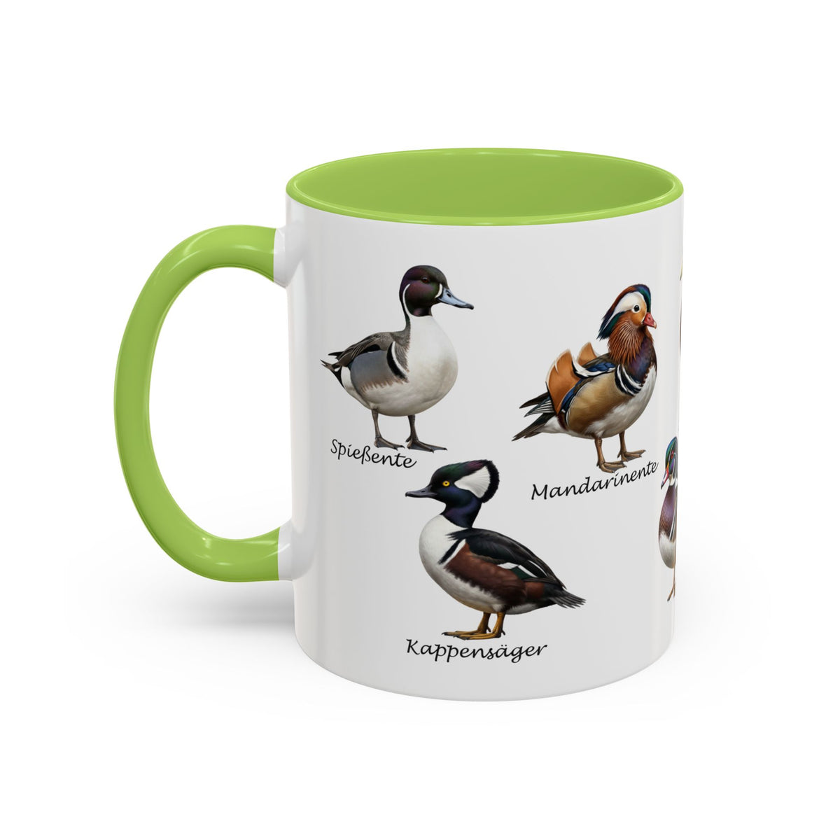Tasse avec espèces de canards : canard souchet, canard mandarin & Cie | Anse colorée | Ornithologie