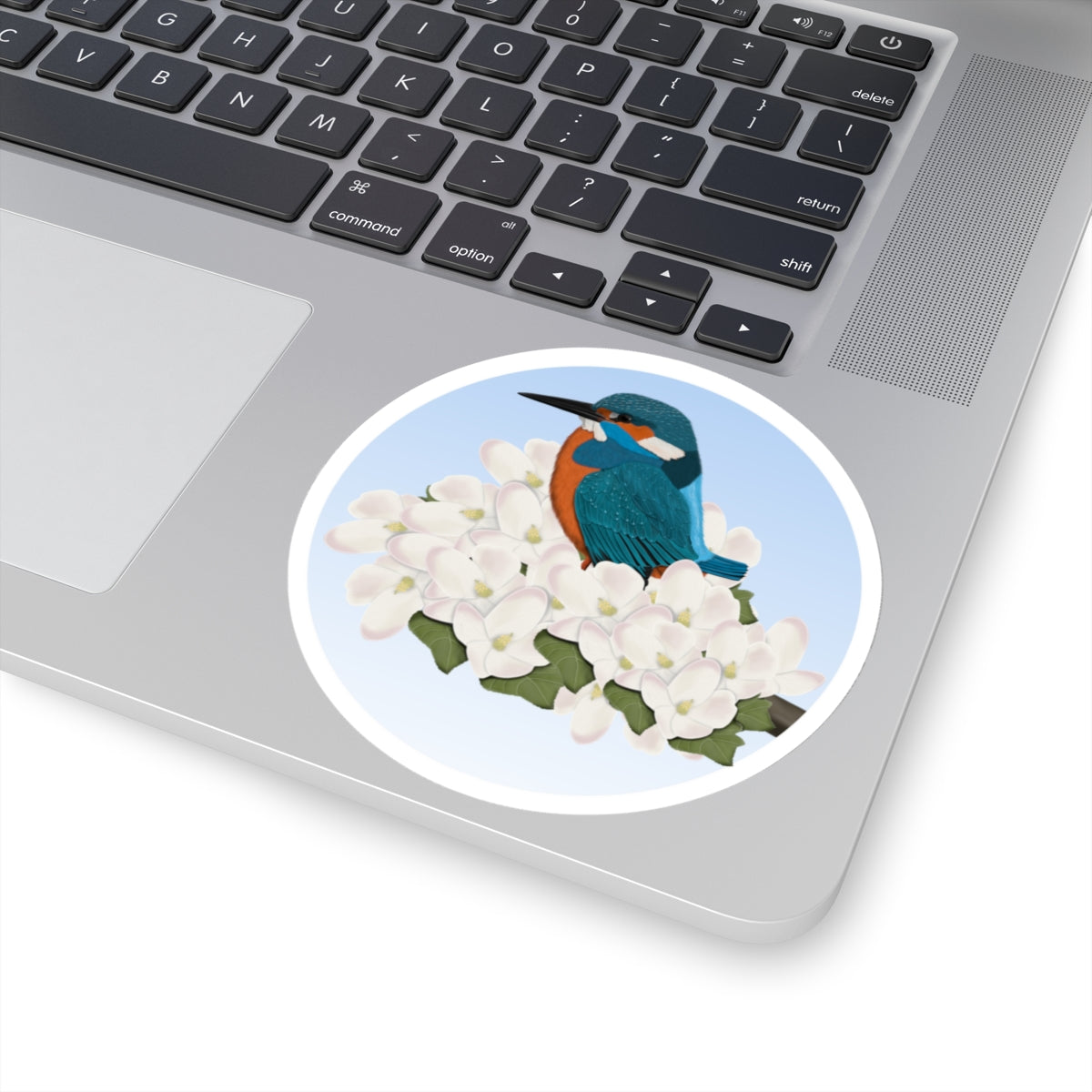 Kingfisher Spring Apple Blossoms Bird Sticker