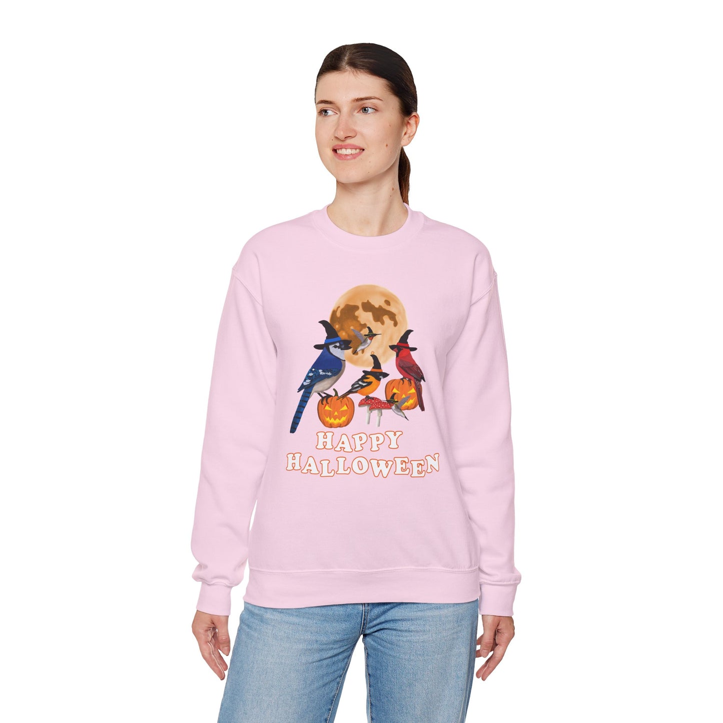 Blue Jay Cardinal Oriole Hummingbird Halloween Birds Witch Birdwatcher Sweatshirt