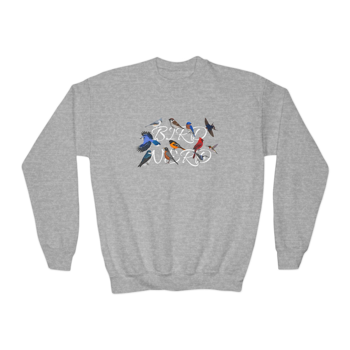 Barn Swallow, Blue Jay, Nuthatch, Oriole and Robin Youth Sweatshirts in Maroon
