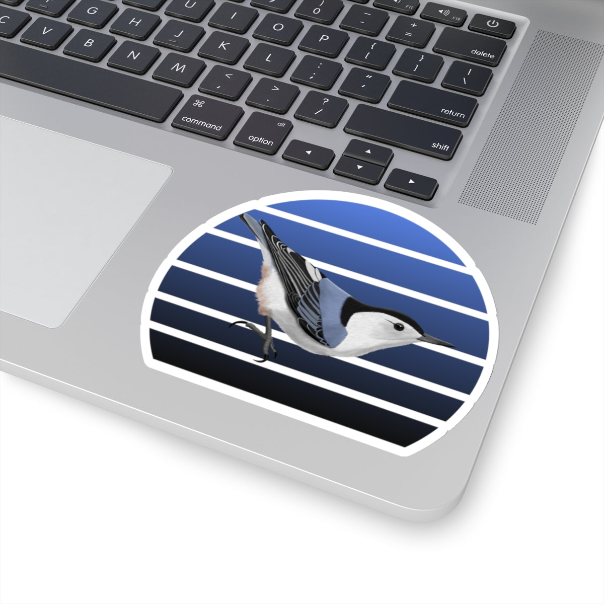 Nuthatch Bird Sticker