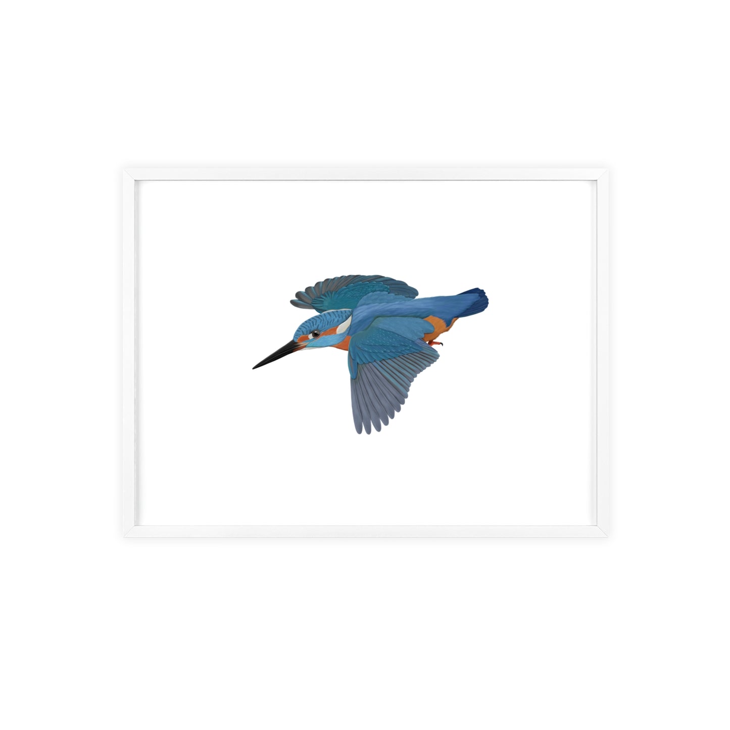 Vogel Poster im Holzrahmen - Eisvogel Poster Singvogel Weiß