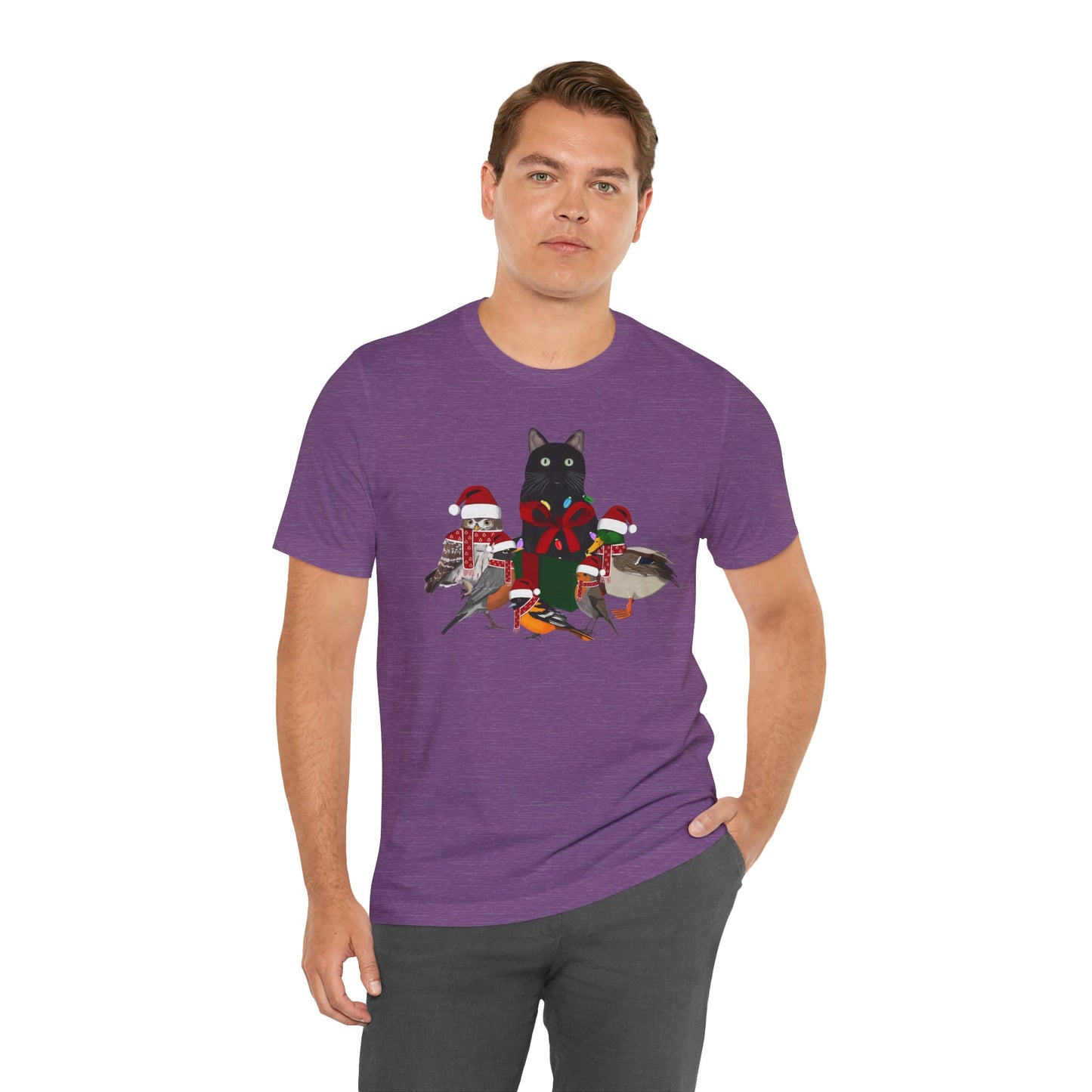 Robin Mallard Oriole Owl with Cat in a Box and Fairy Lights Christmas Bird T-Shirt