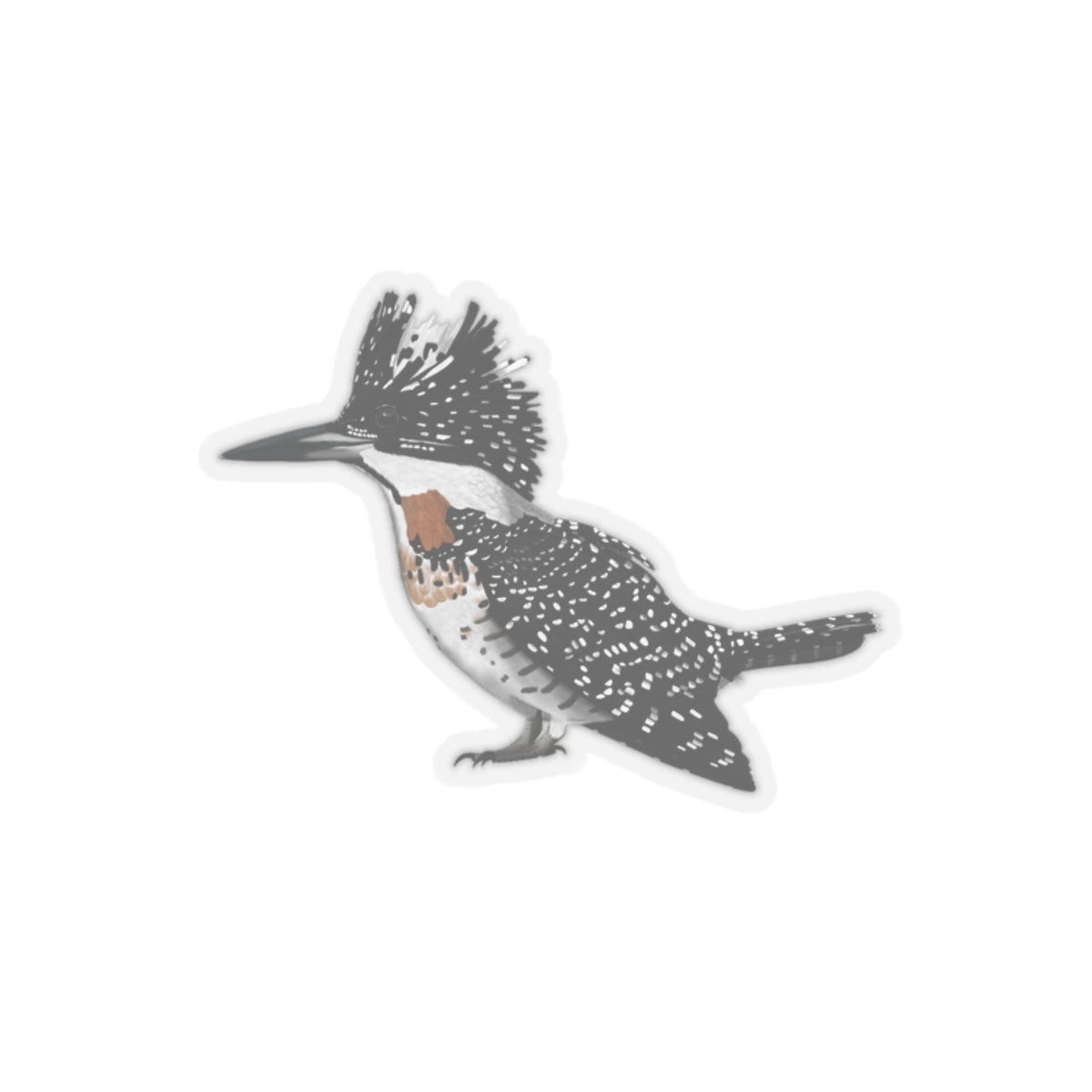Crested Kingfisher Bird Kiss-Cut Sticker - jz.birds
