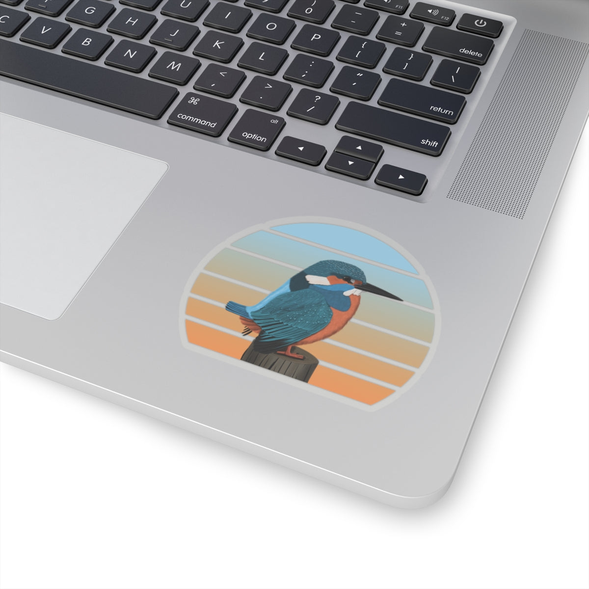 カワセミの鳥のステッカー