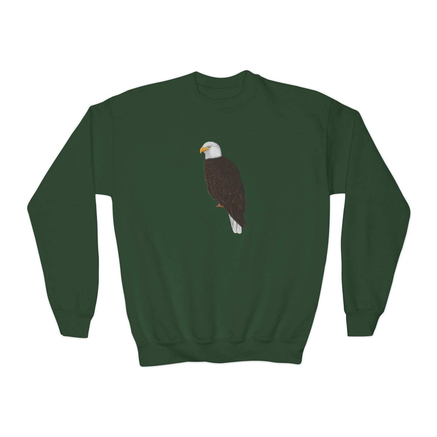 Eagle Youth Sweatshirts on Casual Kids Clothing background
