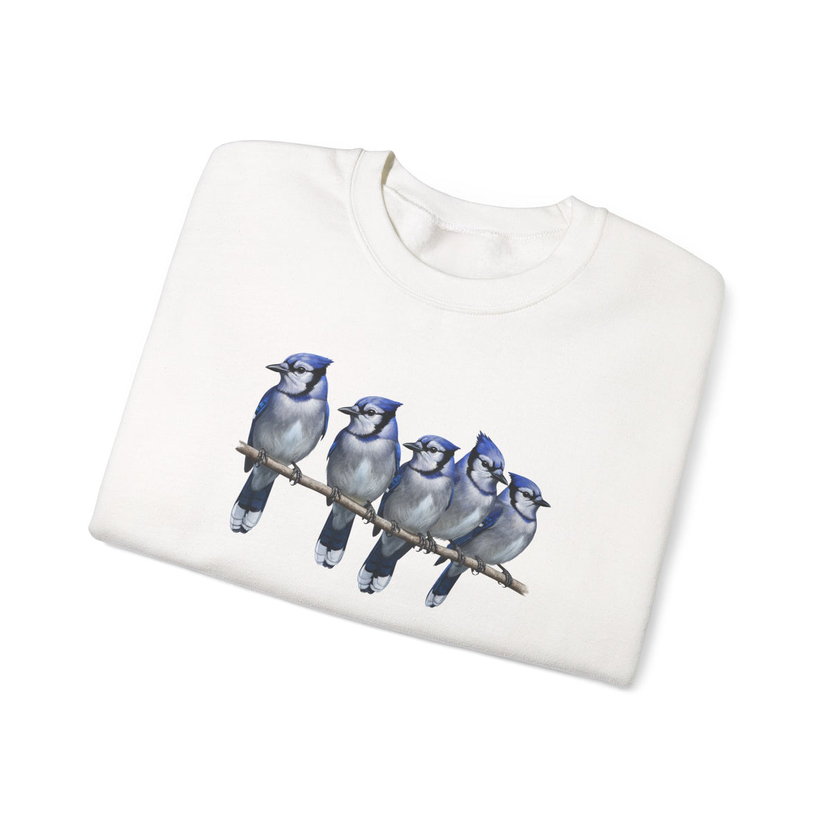 Blue Jays Sweatshirt | Bird Watcher Crewneck | Unisex Songbird Gift for Bird Lovers