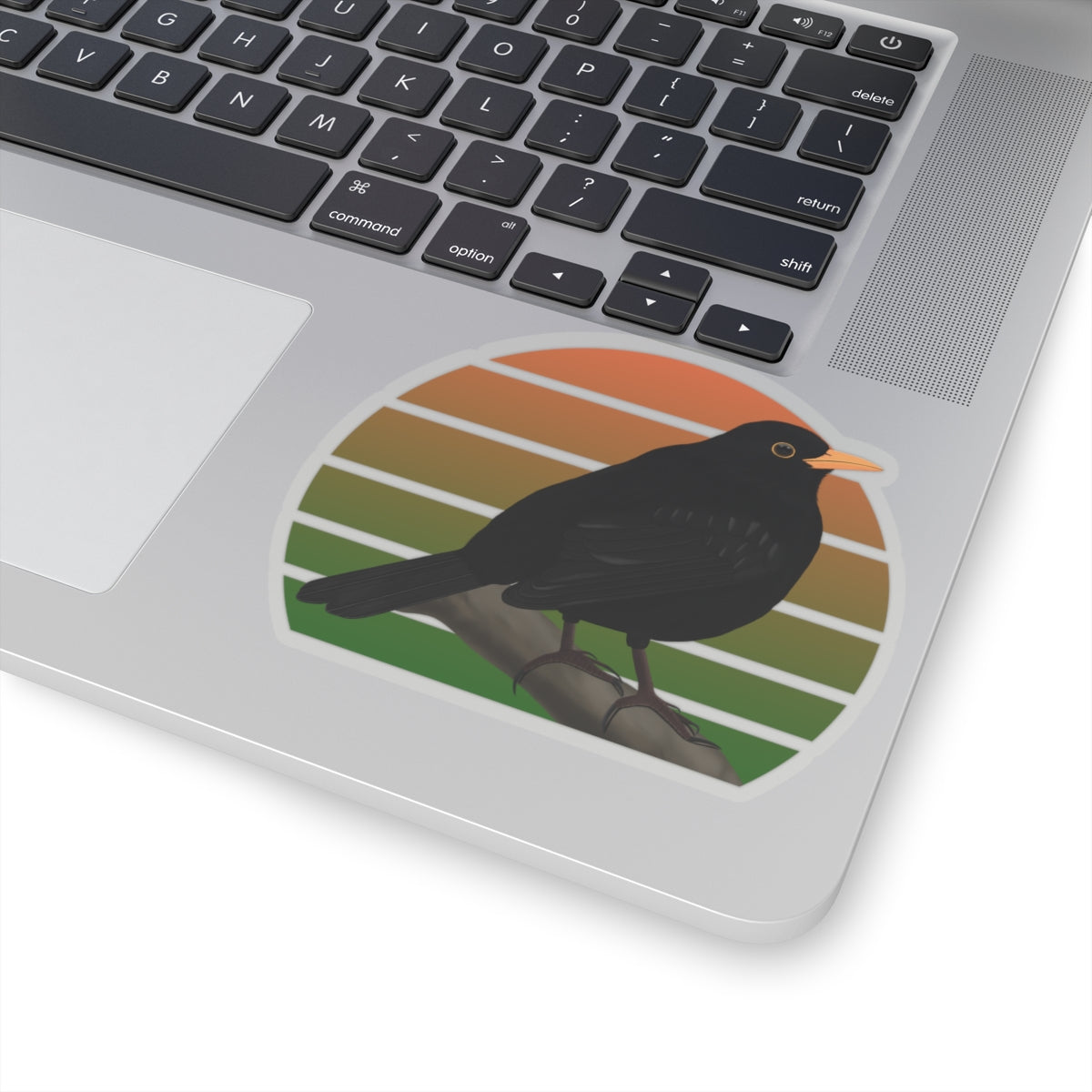 Blackbird Bird Sticker