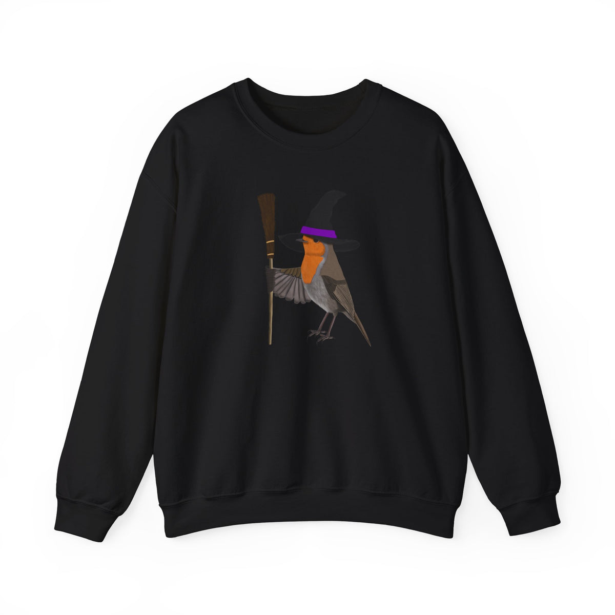 Robin Halloween Witch Birdwatcher Biologist Bird Sweatshirt – Animal Lover Gift,