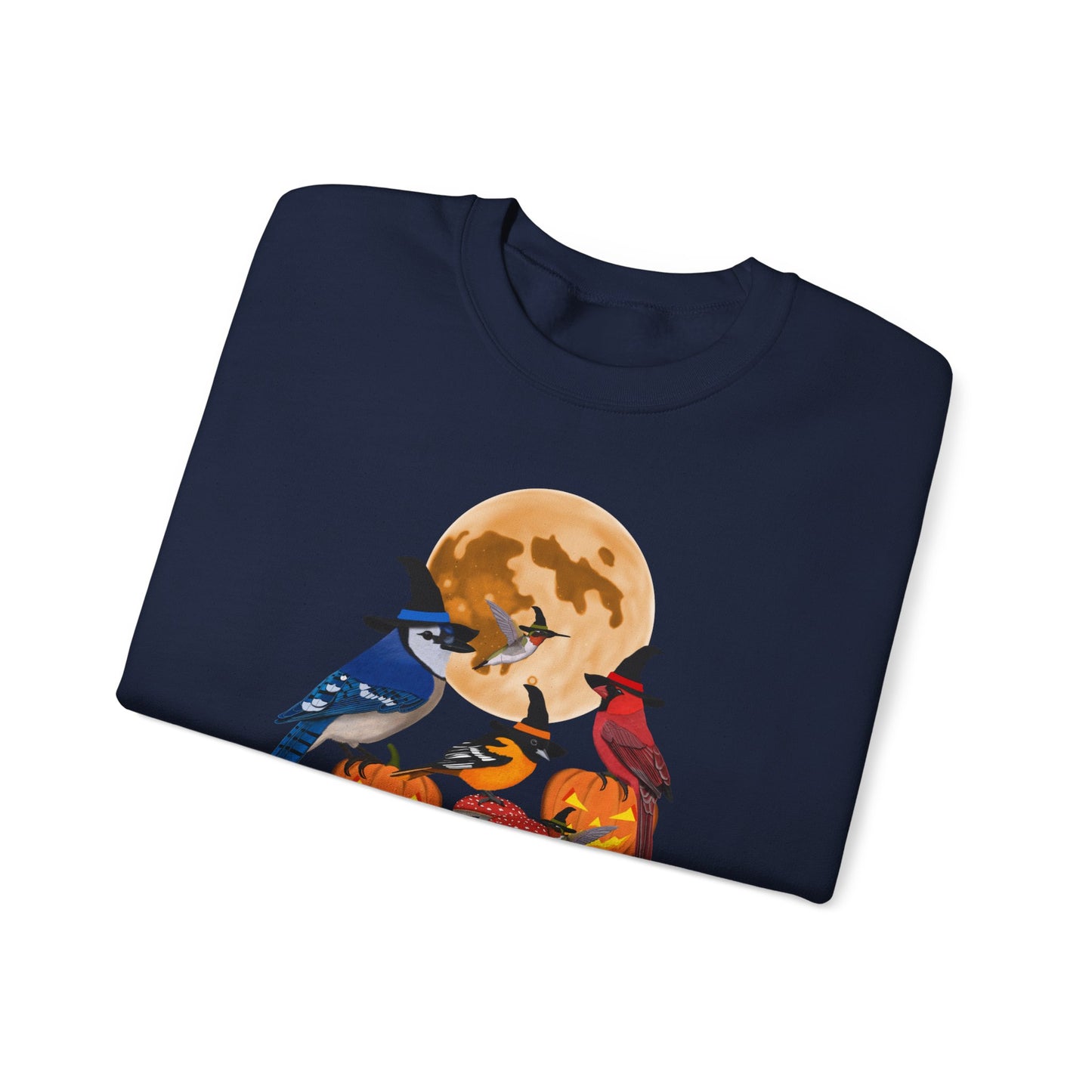 Blue Jay Cardinal Oriole Hummingbird Halloween Birds Witch Birdwatcher Sweatshirt