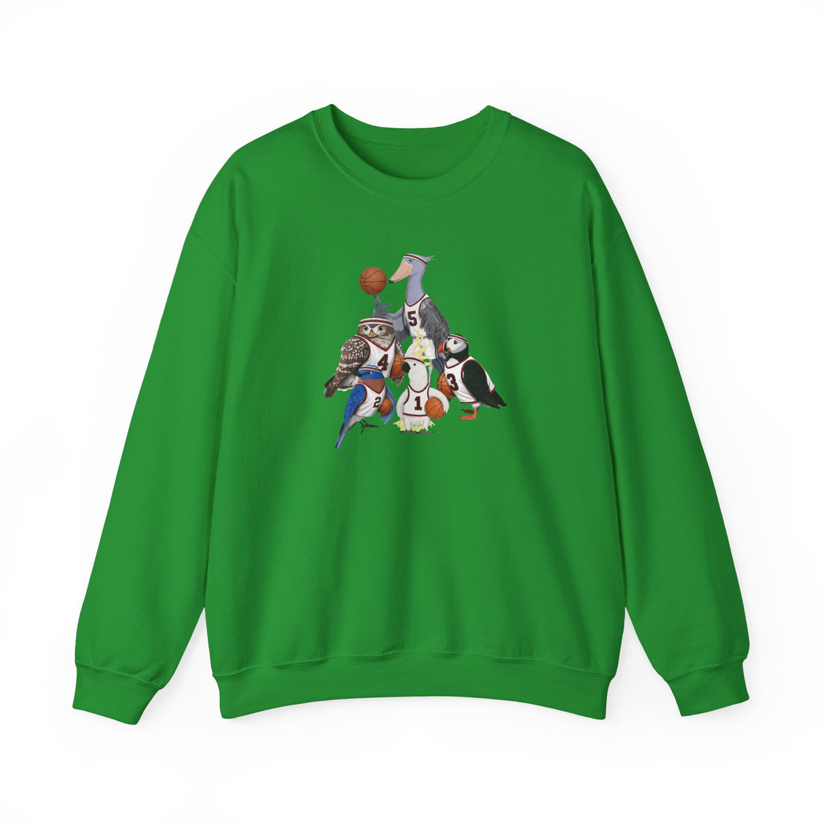 Funny Basketball Bird Sweatshirt | Bird Watcher Crewneck | Unisex Unique Hoops Fan Gift
