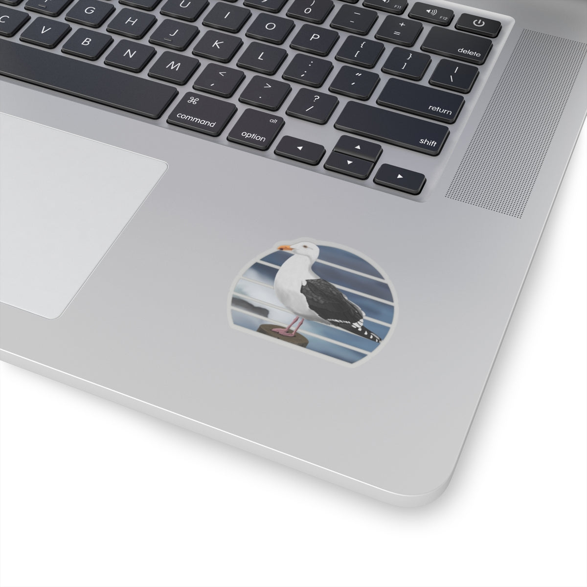 Seagull Bird Sticker