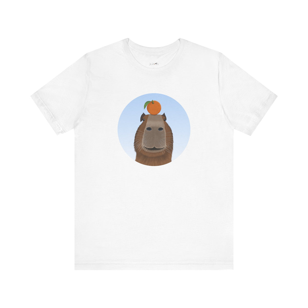 Capybara with Orange Funny T-Shirt on bird background