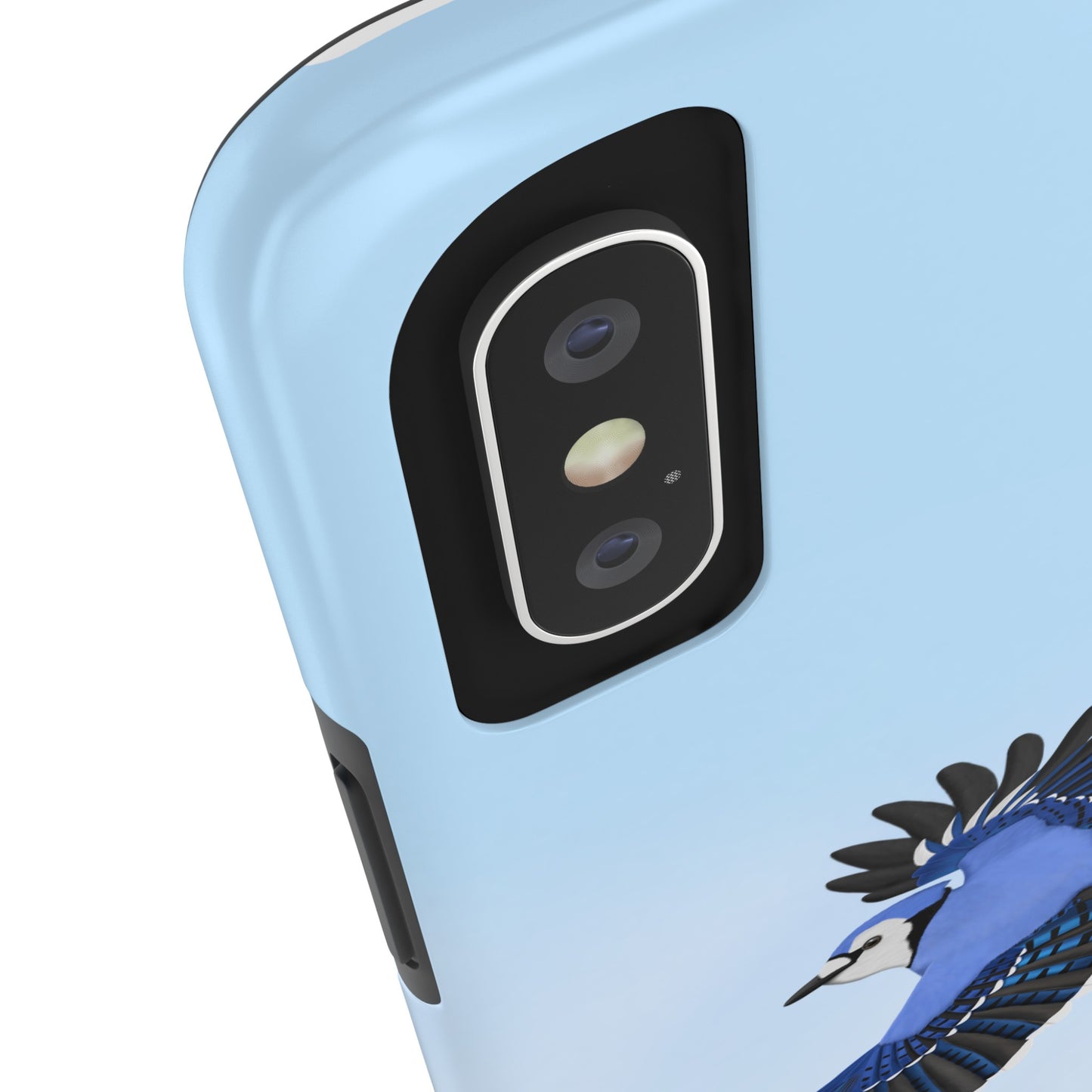 Blue Jay Bird Art Tough Phone Case