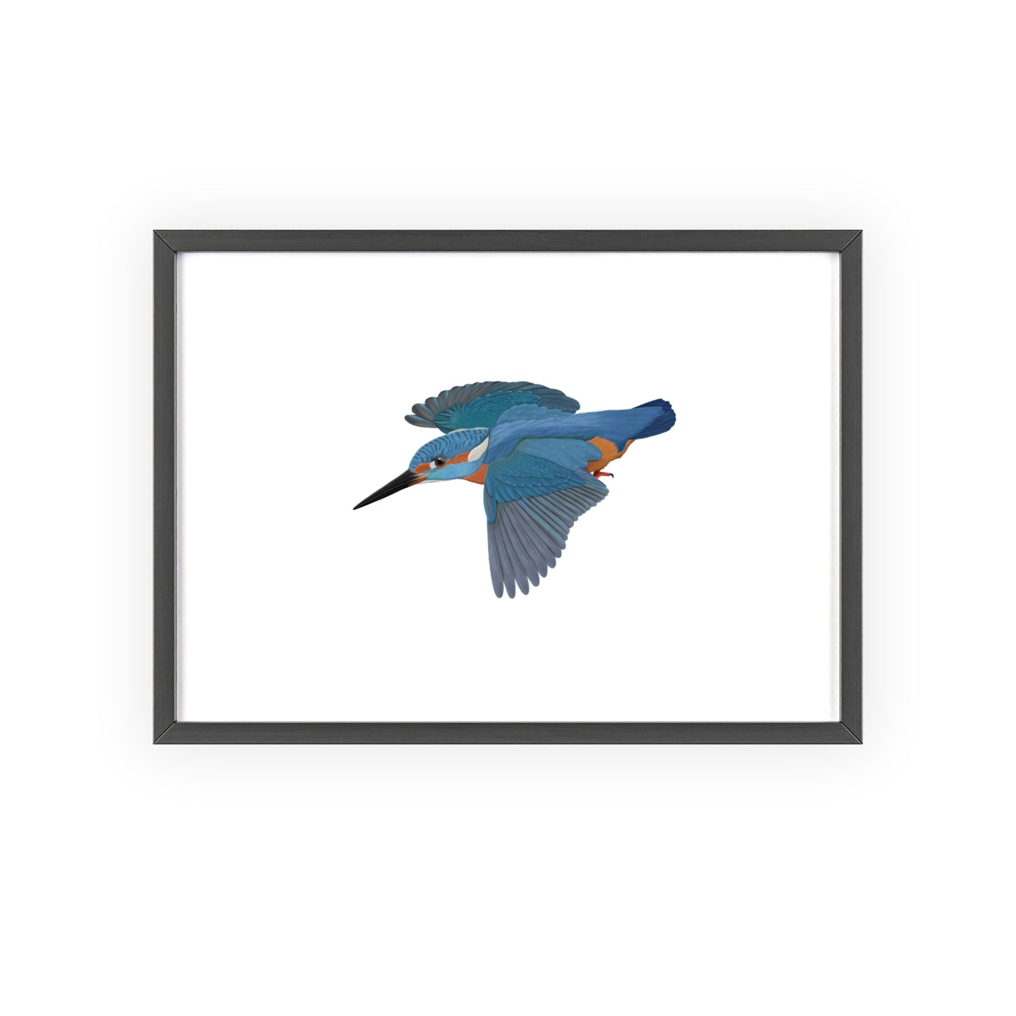 Vogel Poster im Holzrahmen - Eisvogel Poster Singvogel Weiß