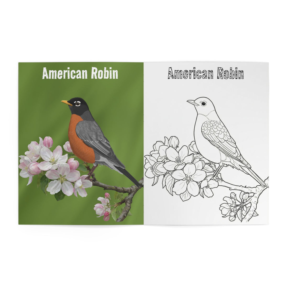 Backyard Birds of North America – Realistic Coloring Book with Full-Color Reference Art (8.5" x 11") – adult and animal style