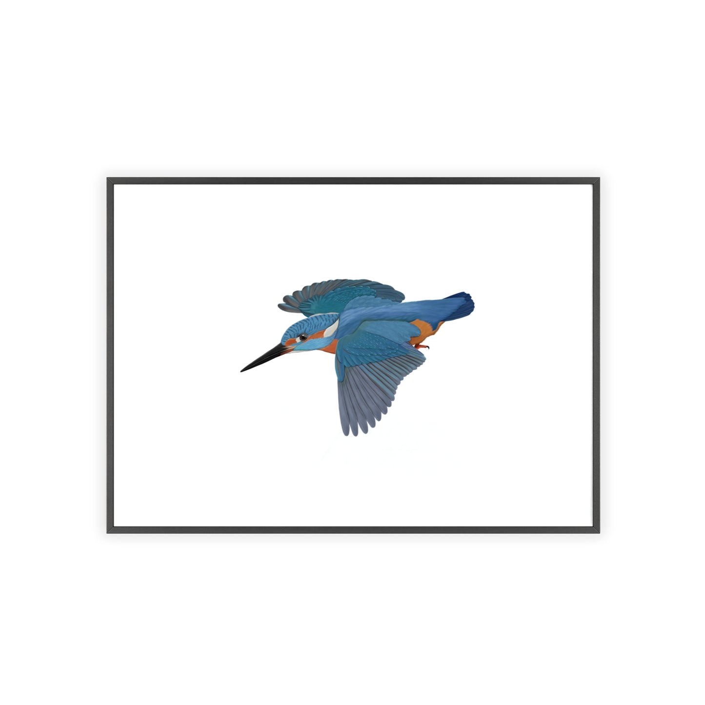 Vogel Poster im Holzrahmen - Eisvogel Poster Singvogel Weiß